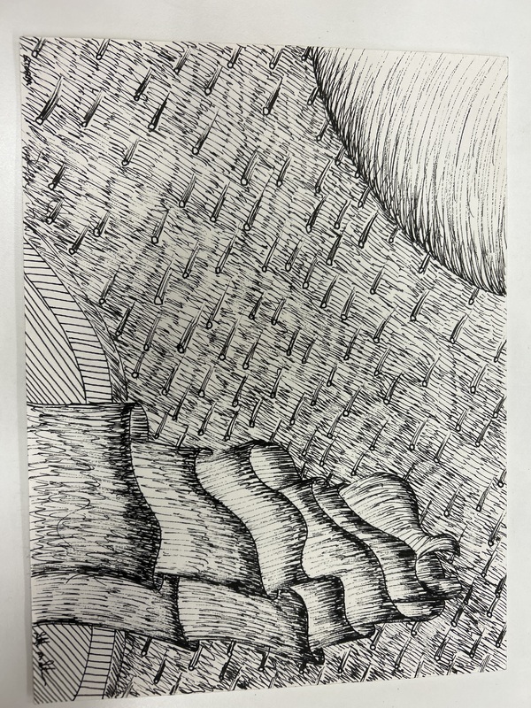 Storm