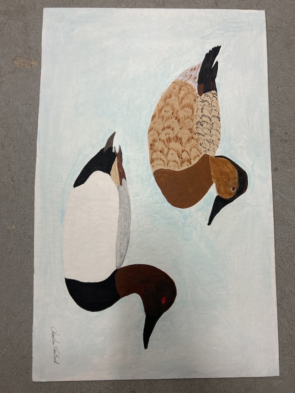 Pair of Canvasbacks