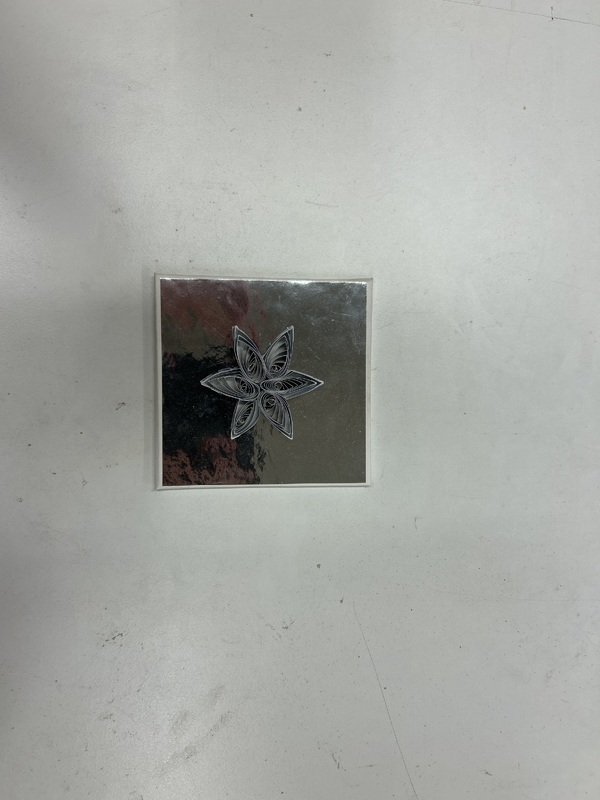 Negative Silver Star