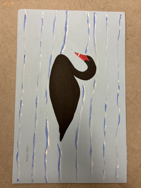 Mute Swan