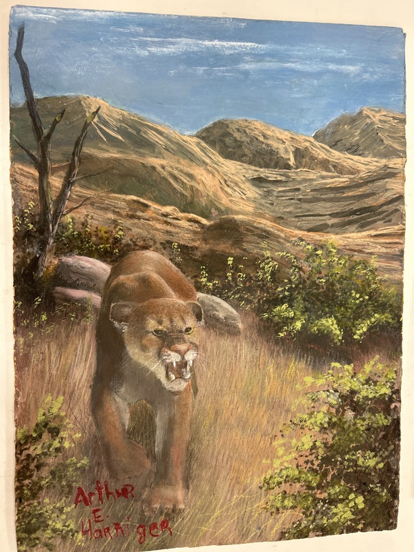 Valley Cat