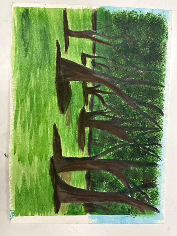 Trees