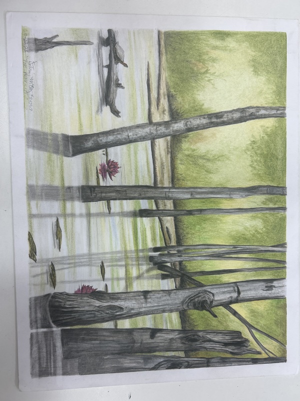 Flooded Timber