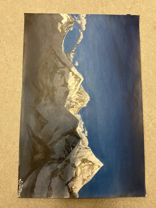Snowy Mountains