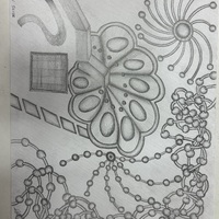 https://www.dropbox.com/scl/fi/m7vpzqndvt8i5ok6rf5w7/1277-D.jpg?rlkey=8otejcj2twvs7gkyszjzg4ce2&st=ltie1h80&dl=1