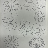https://www.dropbox.com/scl/fi/7szbvahej2yxoztqp5fsm/1387-D.jpg?rlkey=sqqtwijm3qxuf2hz4vietutu9&st=m9wqcpbk&dl=1