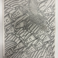 https://www.dropbox.com/scl/fi/igtrbq8nvk3vmvejr3t0n/1710-D.jpg?rlkey=y48p3vdyul6hfsr7h1c3ai41b&st=r6xw4x2u&dl=1